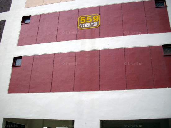 Blk 559 Jurong West Street 42 (Jurong West), HDB 4 Rooms #433632